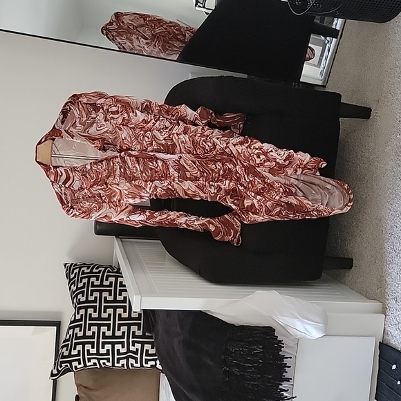 Collared Buttoned Front Ruched Mesh Dress - Picture 6 of 7